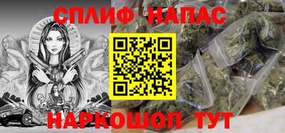 СК Новозыбков
