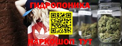 СК Новозыбков