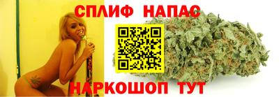 прущие грибы Нягань