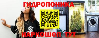 наркотики Новодвинск