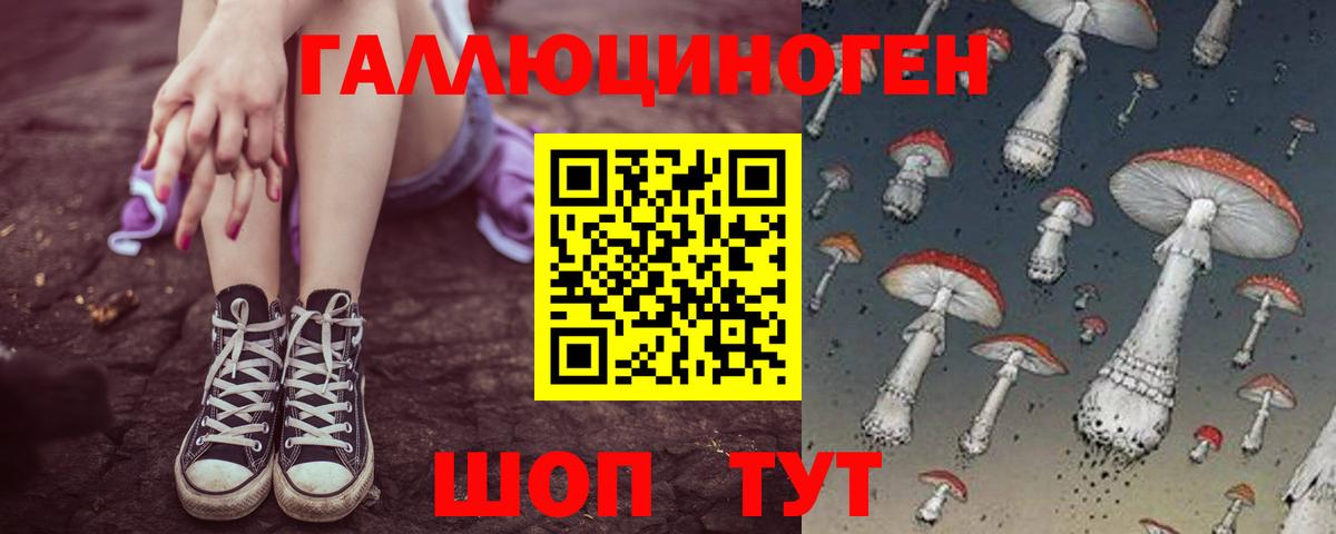 Галлюциногенные грибы MAGIC MUSHROOMS  Псилоцибиновые грибы Psilocybe  Тихвин  Вход с VPN 